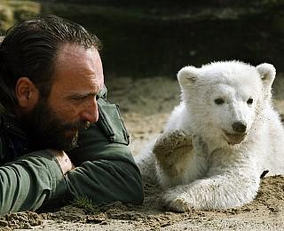Knut Eisbär Berlin Zoo Knut Eisbär Berlin Zoo