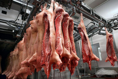 Gammelfleisch Gammelfleisch