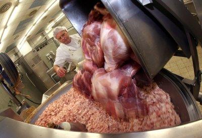 Gammelfleisch Gammelfleisch