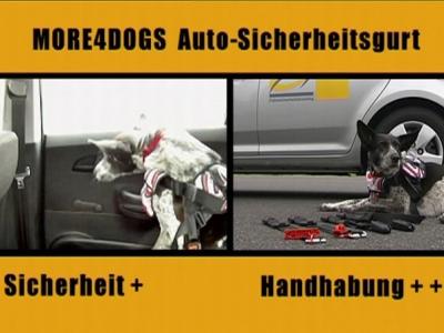 Anschnallsysteme für Hunde Anschnallsysteme für Hunde
