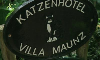 Tierbetreuung im Urlaub Tierbetreuung im Urlaub