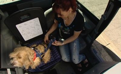 Reisen mit Hund Reisen mit Hund