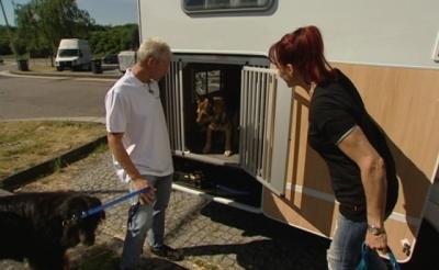 Reisen mit Hund Reisen mit Hund