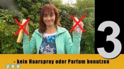 Schutz gegen Wespen Schutz gegen Wespen