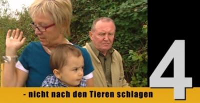 Schutz gegen Wespen Schutz gegen Wespen