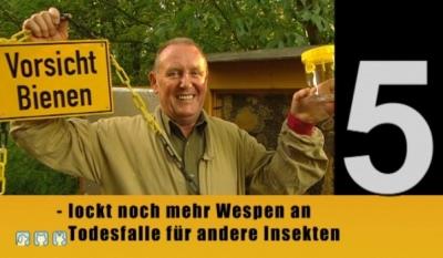 Schutz gegen Wespen Schutz gegen Wespen