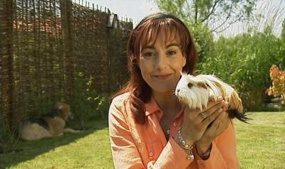 Fitness für Meerschweinchen Fitness für Meerschweinchen