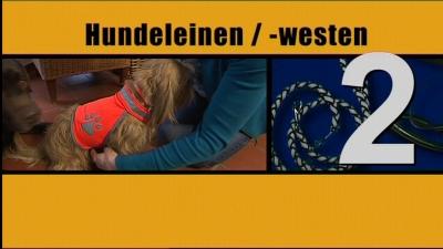 hkm 20101030 Tiere im Dunkeln hkm 20101030 Tiere im Dunkeln