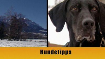 hundkatzemaus Wintertipps hundkatzemaus Wintertipps