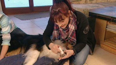 hundkatzemaus Wintertipps hundkatzemaus Wintertipps