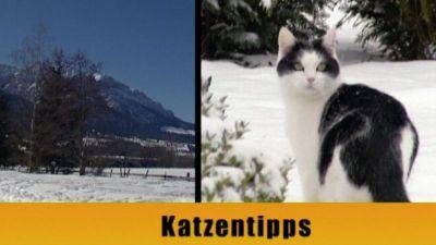 hundkatzemaus Wintertipps hundkatzemaus Wintertipps