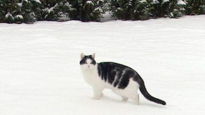 hundkatzemaus Wintertipps hundkatzemaus Wintertipps