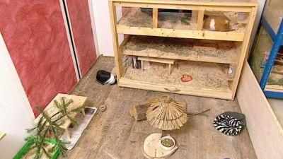 hundkatzemaus Wintertipps hundkatzemaus Wintertipps