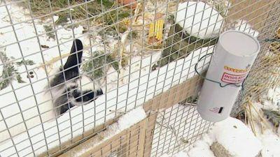 hundkatzemaus Wintertipps hundkatzemaus Wintertipps