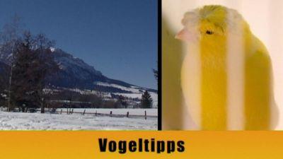 hundkatzemaus Wintertipps hundkatzemaus Wintertipps