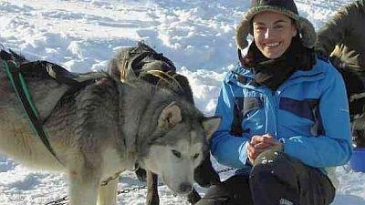 Hunde im Schnee Hunde im Schnee