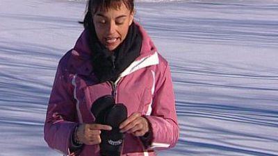 Hunde im Schnee Hunde im Schnee