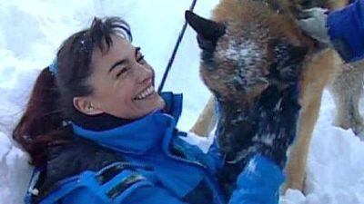 Hunde im Schnee Hunde im Schnee