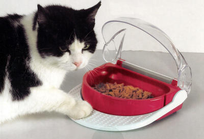 Geschenke für Haustiere Geschenke für Haustiere