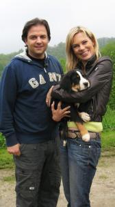 Der V.I.P. Hundeprofi Staffel 2 Der V.I.P. Hundeprofi Staffel 2