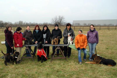 hkm 20110212 seniorenhunde hkm 20110212 seniorenhunde