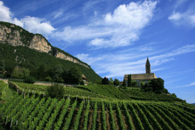 Prowein Prowein