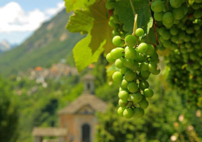 Prowein Prowein
