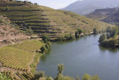 Prowein Prowein