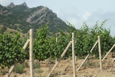 Prowein Prowein