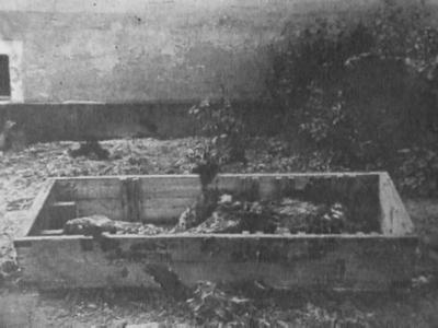 Hitlers Selbstmord Hitlers Selbstmord