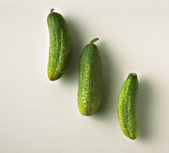 Salatlos gesund Salatlos gesund