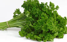 Salatlos gesund Salatlos gesund