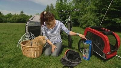 Hukamaus Hund auf Fahrrad Hukamaus Hund auf Fahrrad