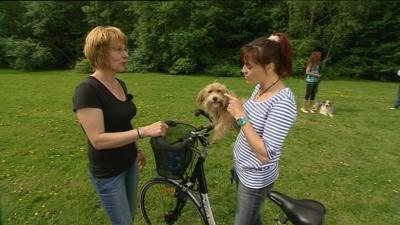 Hukamaus Hund auf Fahrrad Hukamaus Hund auf Fahrrad
