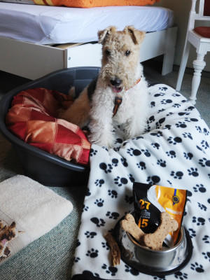 Hunde-Lexikon Hunde-Lexikon