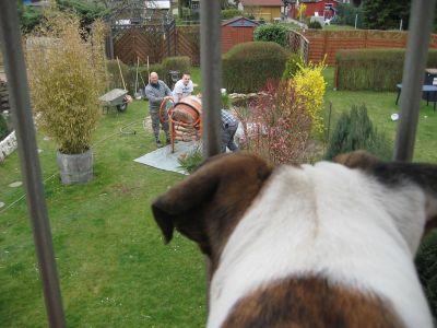 Ab ins Beet - Detlef im Chat Ab ins Beet - Detlef im Chat