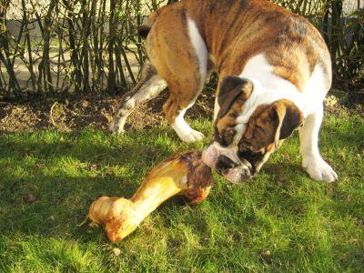 Ab ins Beet - Detlef im Chat Ab ins Beet - Detlef im Chat
