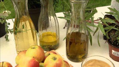Naturheilmittel für das Haustier Naturheilmittel für das Haustier