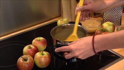 Naturheilmittel für das Haustier Naturheilmittel für das Haustier
