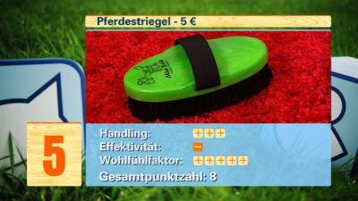 Hundebürsten-Test Hundebürsten-Test