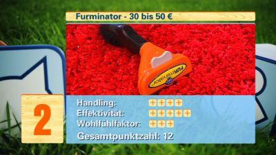 Hundebürsten-Test Hundebürsten-Test