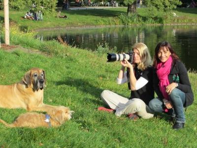 Das Perfekte Hundefoto Das Perfekte Hundefoto