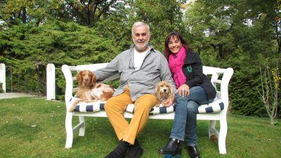 Das Perfekte Hundefoto Das Perfekte Hundefoto