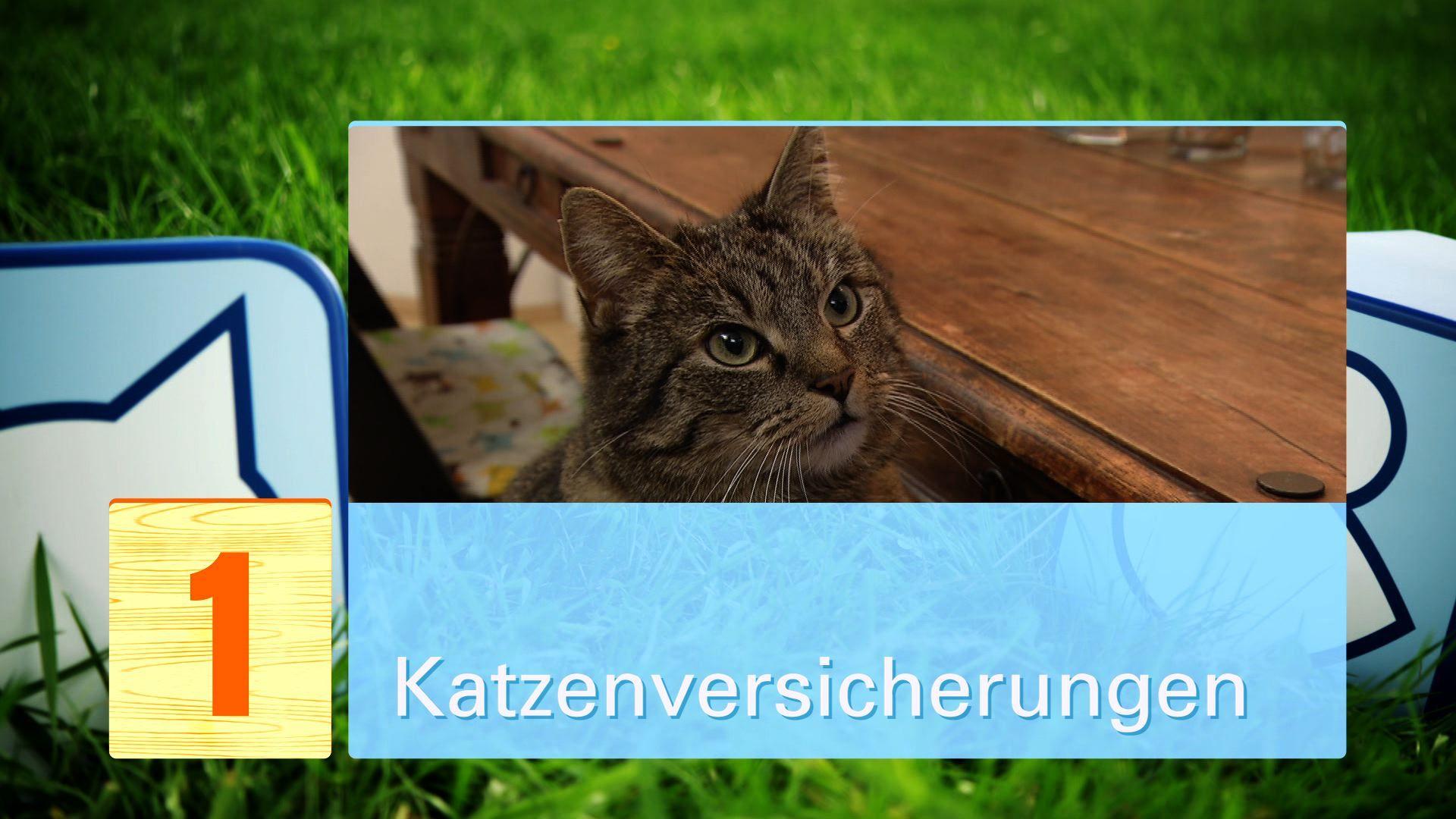 Tierverischerungen Tierverischerungen