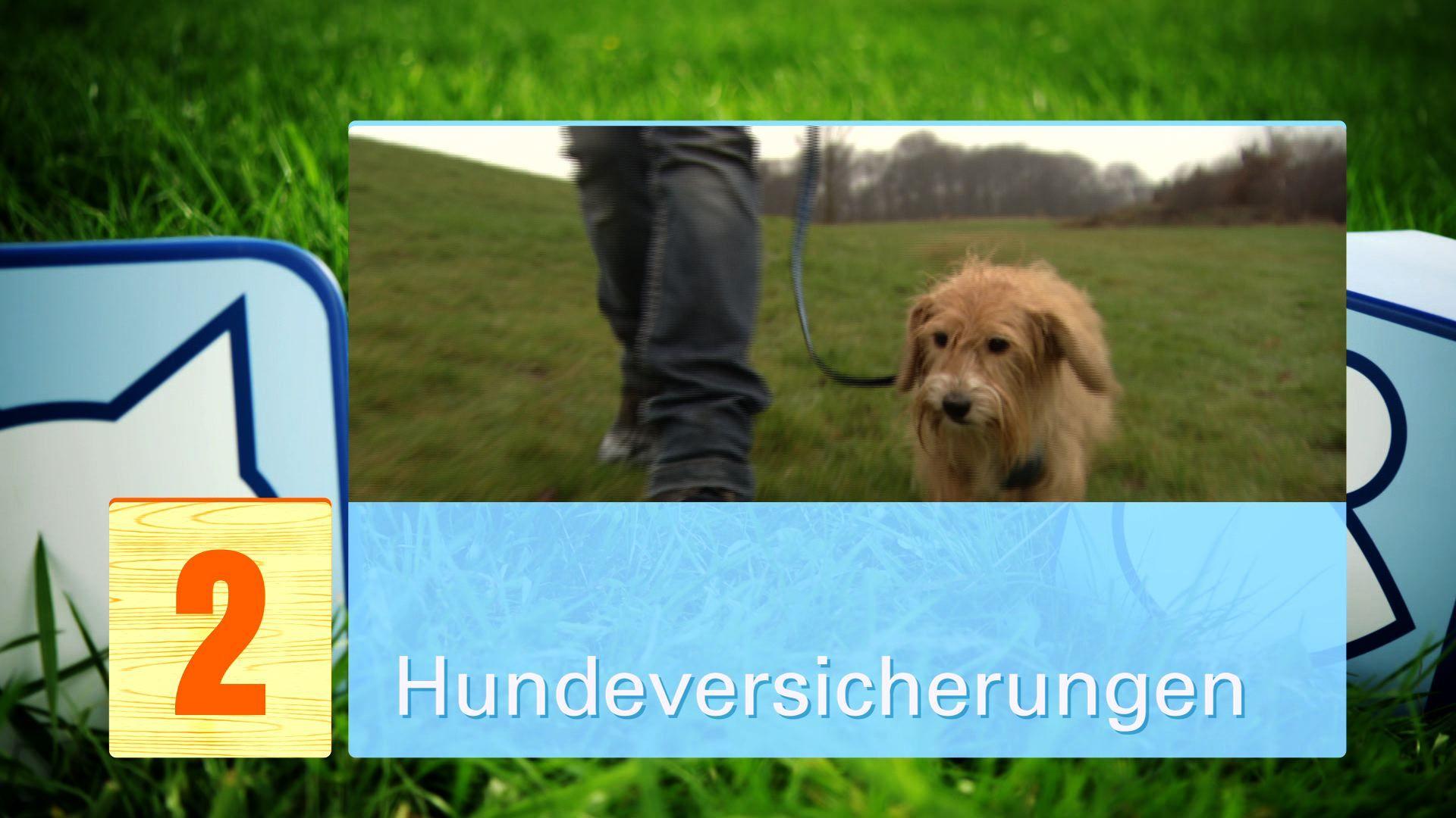 Tierverischerungen Tierverischerungen