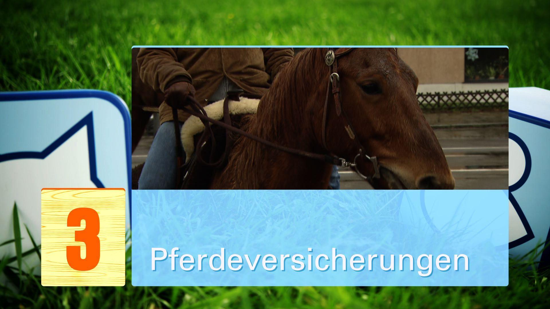 Tierverischerungen Tierverischerungen