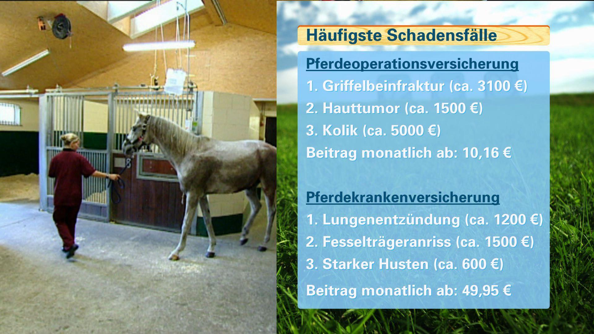 Tierverischerungen Tierverischerungen