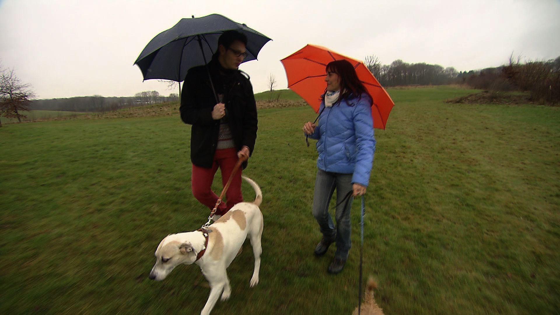 Tierverischerungen Tierverischerungen