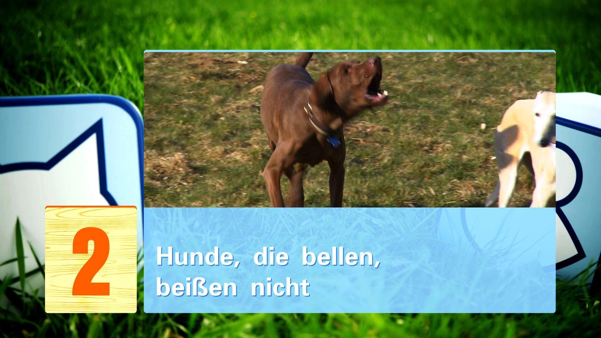hkm_20130427_hundemythen hkm_20130427_hundemythen