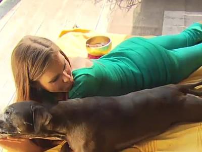 Doga- Yoga mit Hund Doga- Yoga mit Hund